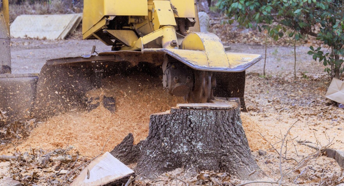 Professional stump grinding and removal equipment in Four Corners, FL